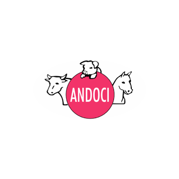 11-andoci